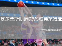 基爾塞斯眼鏡蛇VS威弗萊獵鷹
