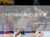 卡布爾徹VS荷蘭公園老鷹