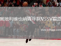 奧地利維也納青年隊VSSV霍恩