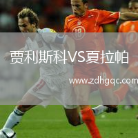 賈利斯科VS夏拉帕