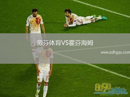 勞芬體育VS霍芬海姆