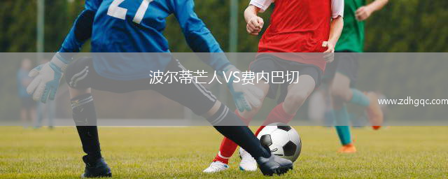 波爾蒂芒人VS費(fèi)內(nèi)巴切