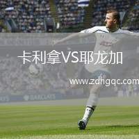 卡利拿VS耶龍加