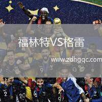 福林特VS格雷