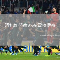 阿扎加努德VS布雷拉伊奇