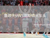 魯玻夫納VS高斯錫火車頭