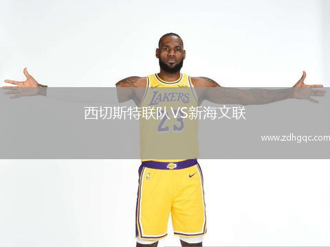 西切斯特聯(lián)隊(duì)VS新海文聯(lián)