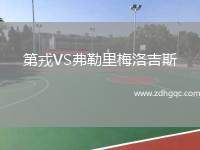 第戎VS弗勒里梅洛吉斯