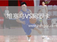 維塞烏VS阿羅卡