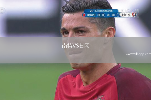 南特VS甘岡