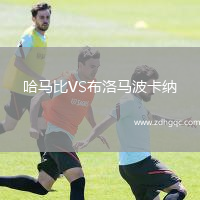 哈馬比VS布洛馬波卡納