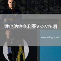 維也納維多利亞VSSV多瑙