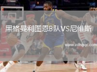 黑格曼利圖恩B隊(duì)VS尼維斯