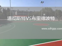 道徹斯特VS布里德波特