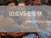 鉑金VS奎奎聯(lián)