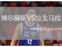 博爾赫斯VS拉戈馬拉
