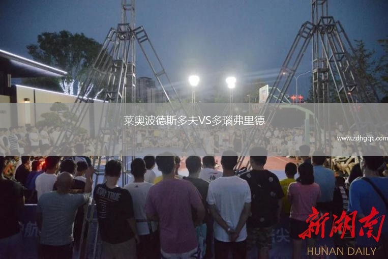 萊奧波德斯多夫VS多瑙弗里德