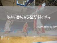 埃施福拉VS霍斯特爾特