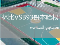 林比VSB93哥本哈根