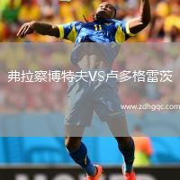 弗拉察博特夫VS盧多格雷茨