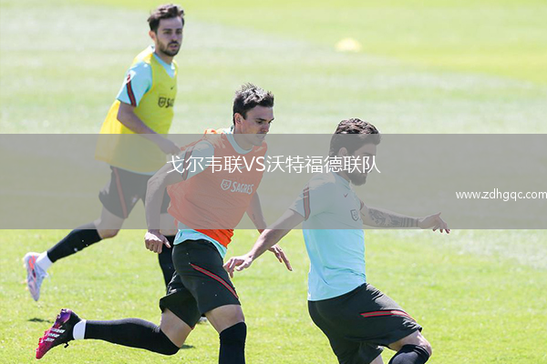 戈?duì)栱f聯(lián)VS沃特福德聯(lián)隊(duì)