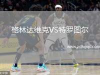 格林達(dá)維克VS特羅圖爾