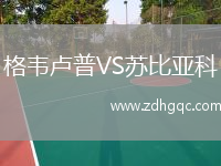 格韋盧普VS蘇比亞科