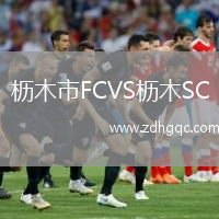 櫪木市FCVS櫪木SC