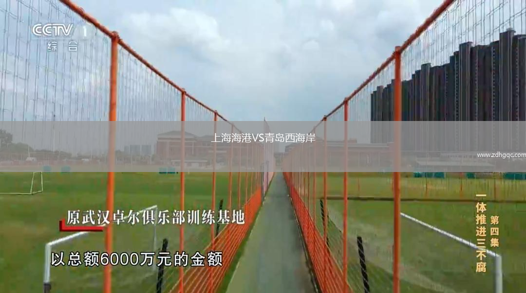 上海海港VS青島西海岸