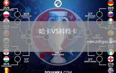 哈卡VS科特卡