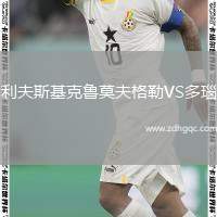 利夫斯基克魯莫夫格勒VS多瑙