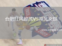 合肥狂風(fēng)峻茂VS湖北文旅