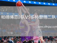 帕德博恩B隊VS多特蒙德二隊