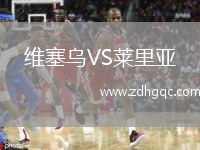 維塞烏VS萊里亞