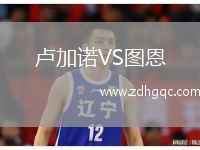 盧加諾VS圖恩