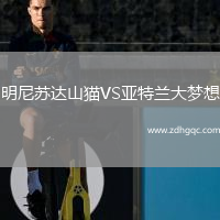 明尼蘇達山貓VS亞特蘭大夢想