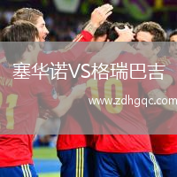 塞華諾VS格瑞巴吉
