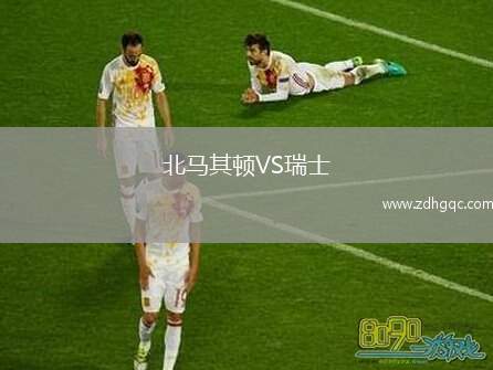 北馬其頓VS瑞士