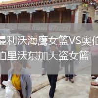 曼利沃海鷹女籃VS奧伯里沃東加大盜女籃