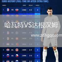 哈瓦特VS達(dá)根漢姆