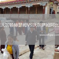 沃爾頓赫瑟姆VS沃爾薩姆阿比