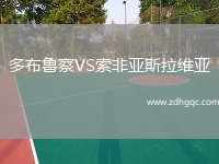 多布魯察VS索非亞斯拉維亞