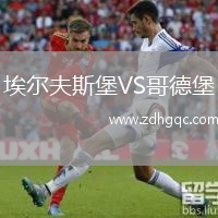 埃爾夫斯堡VS哥德堡