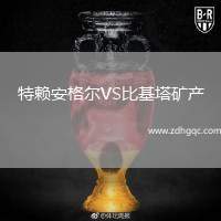 特賴安格爾VS比基塔礦產(chǎn)