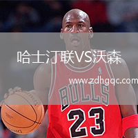 哈士汀聯(lián)VS沃森