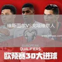 維斯圖爾VS戈塔維京人