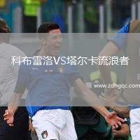 科布雷洛VS塔爾卡流浪者