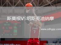 斯莫根VS明斯克迪納摩