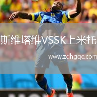 斯維塔維VSSK上米托