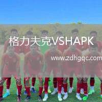 格力夫克VSHAPK